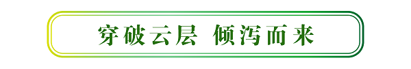 裁 - 标题-04.png